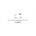 Chapter 11