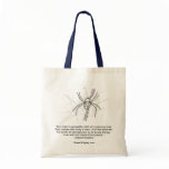 Chapter 13 bags