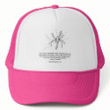 Chapter 13 hats
