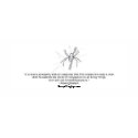 Chapter 13