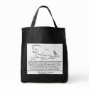 Chapter 14 Tote