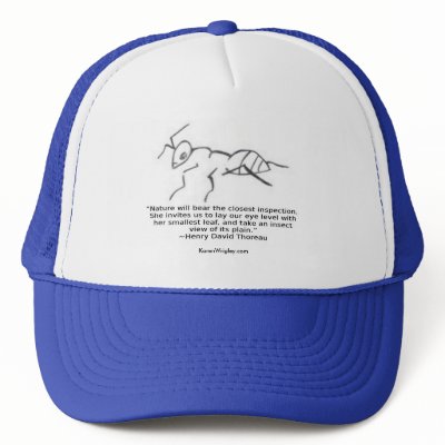 Chapter 15 hats by KarenWrigley