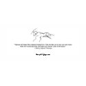 Chapter 15