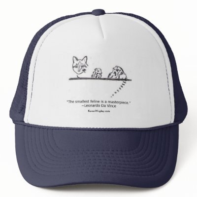 Chapter 19 mesh hats by KarenWrigley