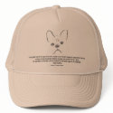 Chapter 20 hats