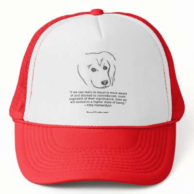 Chapter 25 mesh hats by KarenWrigley