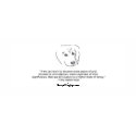 Chapter 25
