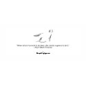 Chapter 26