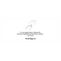 Chapter 28