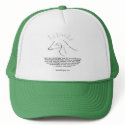 Chapter 4 Hat