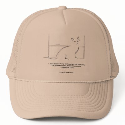 Chapter 5 mesh hat by KarenWrigley