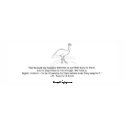 Chapter 7