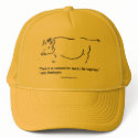 Chapter 8 hats