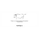 Chapter 8