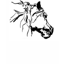 Charcoal horse head t-shirts by S_Evelyn_Vincent Charcoal horse head t-shirts