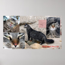 charcoal the cat print