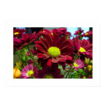Chardonnay Mum posters by jinn Chardonnay Mum posters