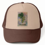 Chardonnay Wine Grapes &amp; Description Hat