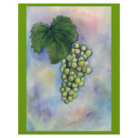 Chardonnay Wine Grapes Flyer
