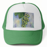 Chardonnay Wine Grapes Hat