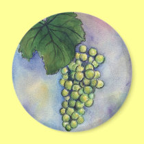 Chardonnay Wine Grapes Magnet magnets