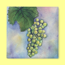 Chardonnay Wine Grapes Magnet magnets