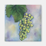Chardonnay Wine Grapes Magnet magnets