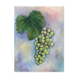 Chardonnay Wine Grapes Postcard postcard