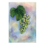Chardonnay Wine Grapes Print