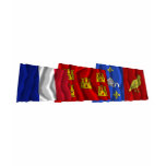 Charente-Maritime, Poitou-Charentes & France flags t-shirts