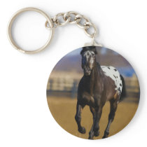 Charger Key Chains
