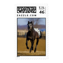 Charger Postage