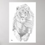 Charging Lion Posters