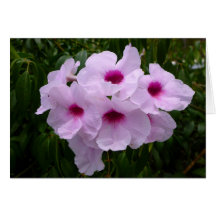 Charisma Bower Vine Greeting Card