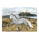  - The Icelandic mare in the painting is based on my Grey Icelandic mare, when she was younger. I tried to keep the ground simple as I wanted the horse to stand out. I have a problem with making things too detailed.
The painting is 99.9% Watercolor pencil, used like you would Watercolor cakes.: Sizes 