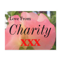 Charity postcards by lollypopgirrrl Charity postcards