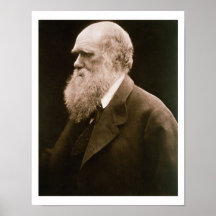 Charles Darwin (1809-82) (photo) Poster