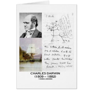 Charles Darwin (Darwin HMS Beagle Phylogenetics) card