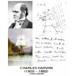 Charles Darwin (Darwin HMS Beagle Phylogenetics) T-shirt