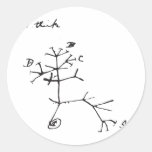 Charles Darwin - I Think (Black) Classic Round Sticker