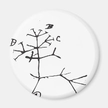 Charles Darwin - I Think (Black) Refrigerator Magnet