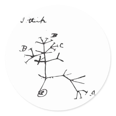 Charles Darwin Tree