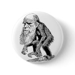 Charles Darwin Original Illustration Pinback Button