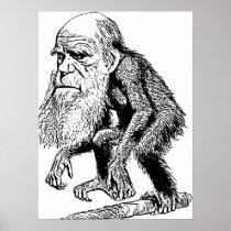 Charles Darwin Original Illustration Posters