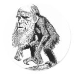 Charles Darwin Original Illustration Stickers