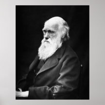 Charles Darwin Portrait Print