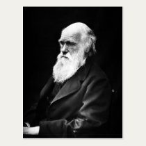 Charles Darwin postcard postcards