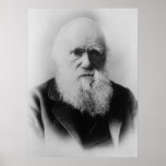 Charles Darwin Print
