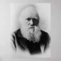 Charles Darwin Print
