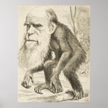 Charles Darwin Posters